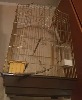 Клетка для птиц