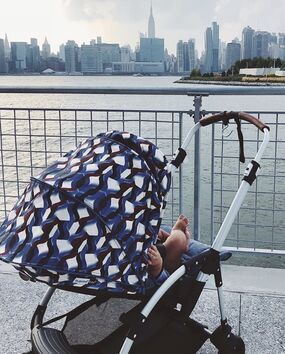 Bugaboo bee5 botanic clearance