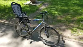 Stels Navigator 500 с велокреслом