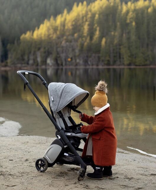 Bugaboo ant baby hot sale