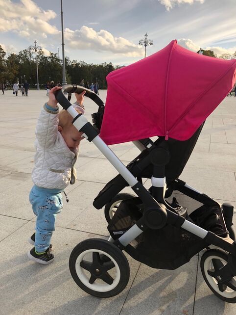Bugaboo buffalo 2014 online